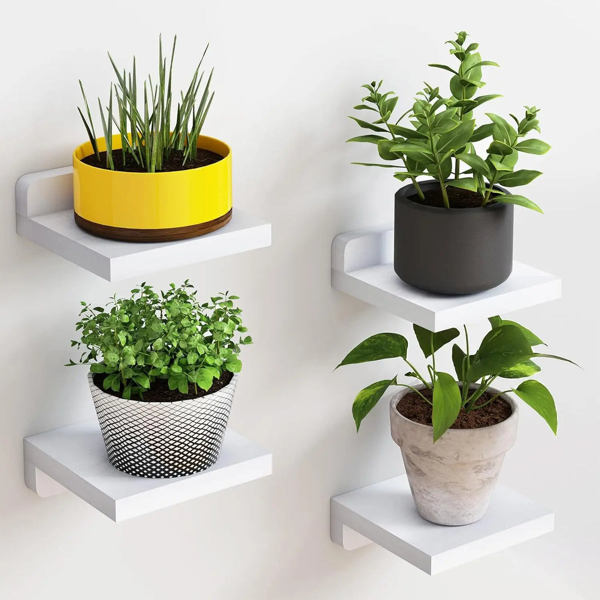 The Mini Ledge Set — 4-Pack Floating Shelves
