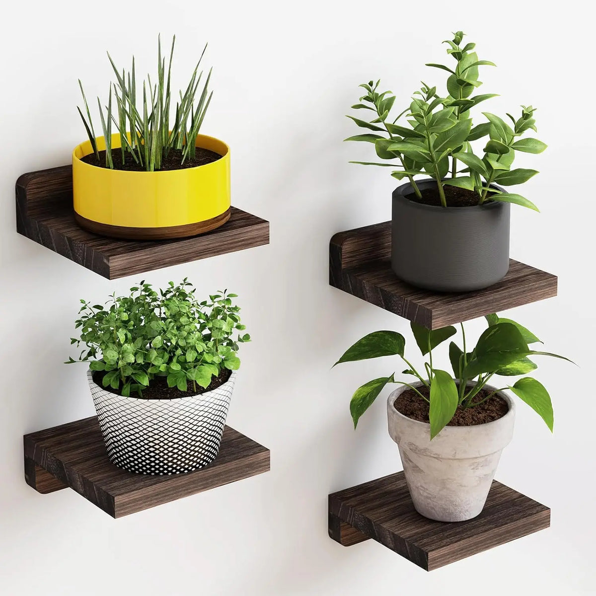 The Mini Ledge Set — 4-Pack Floating Shelves