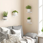 The Mini Ledge Set — 4-Pack Floating Shelves